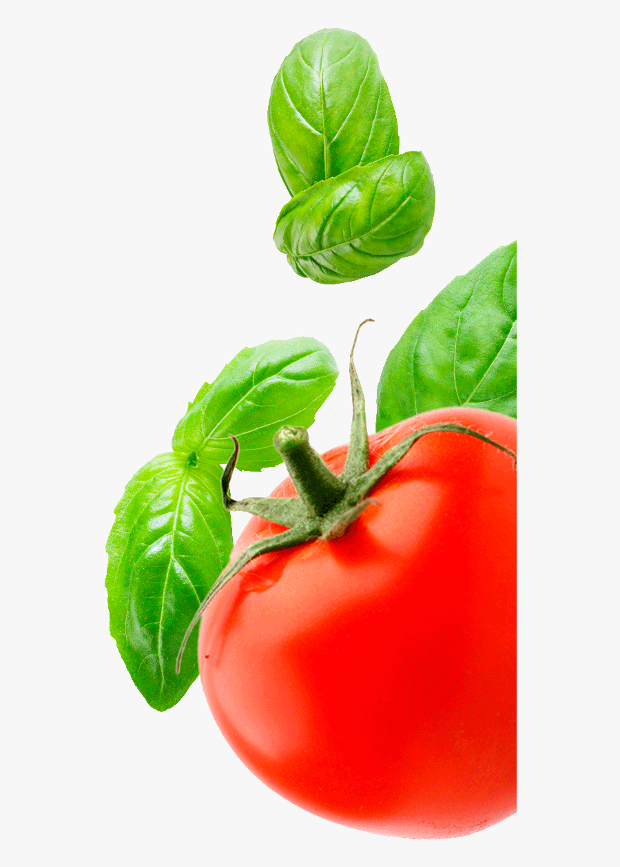 Transparent Tomatoe Clipart - Tomato And Basil Png, Transparent Clipart
