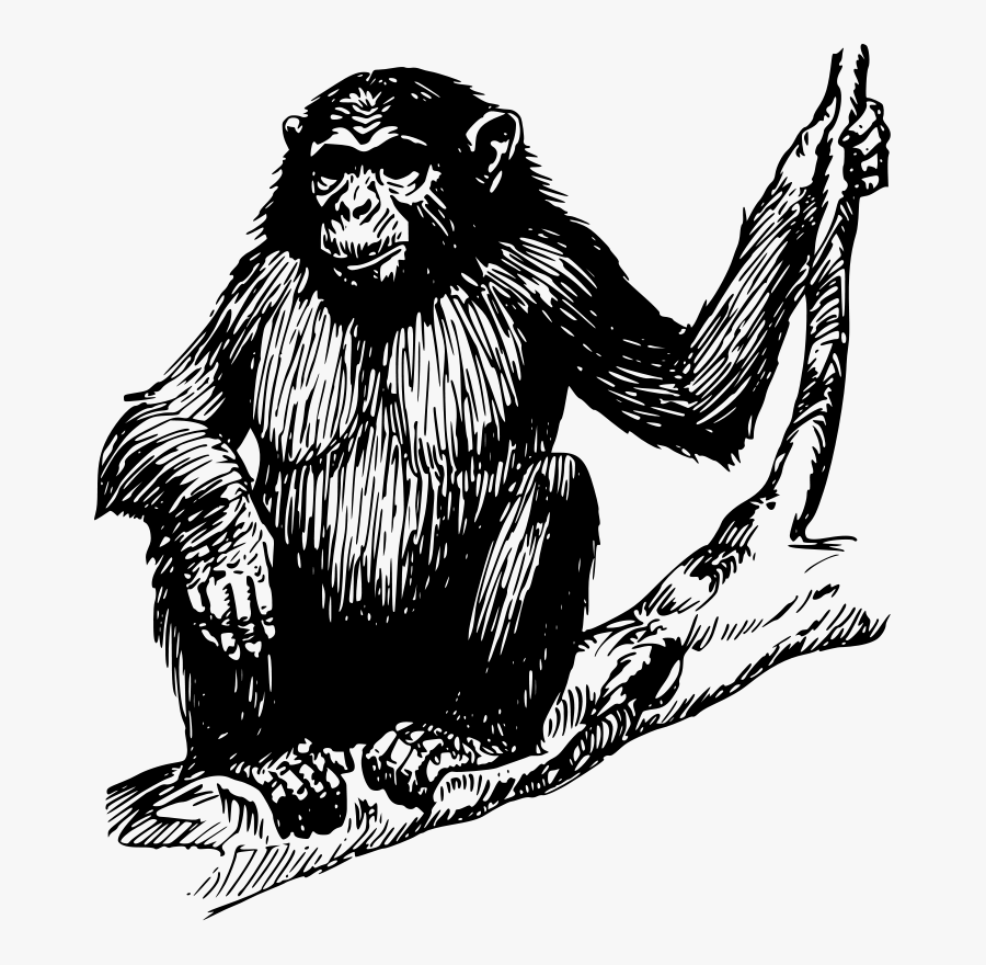 Free Vector Ape Clip Art - Drawang Ape, Transparent Clipart