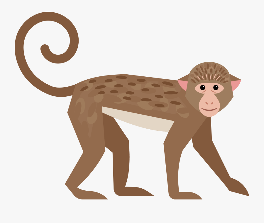 Download Vector Free Library Cute Little Transprent Png - Monkey ...