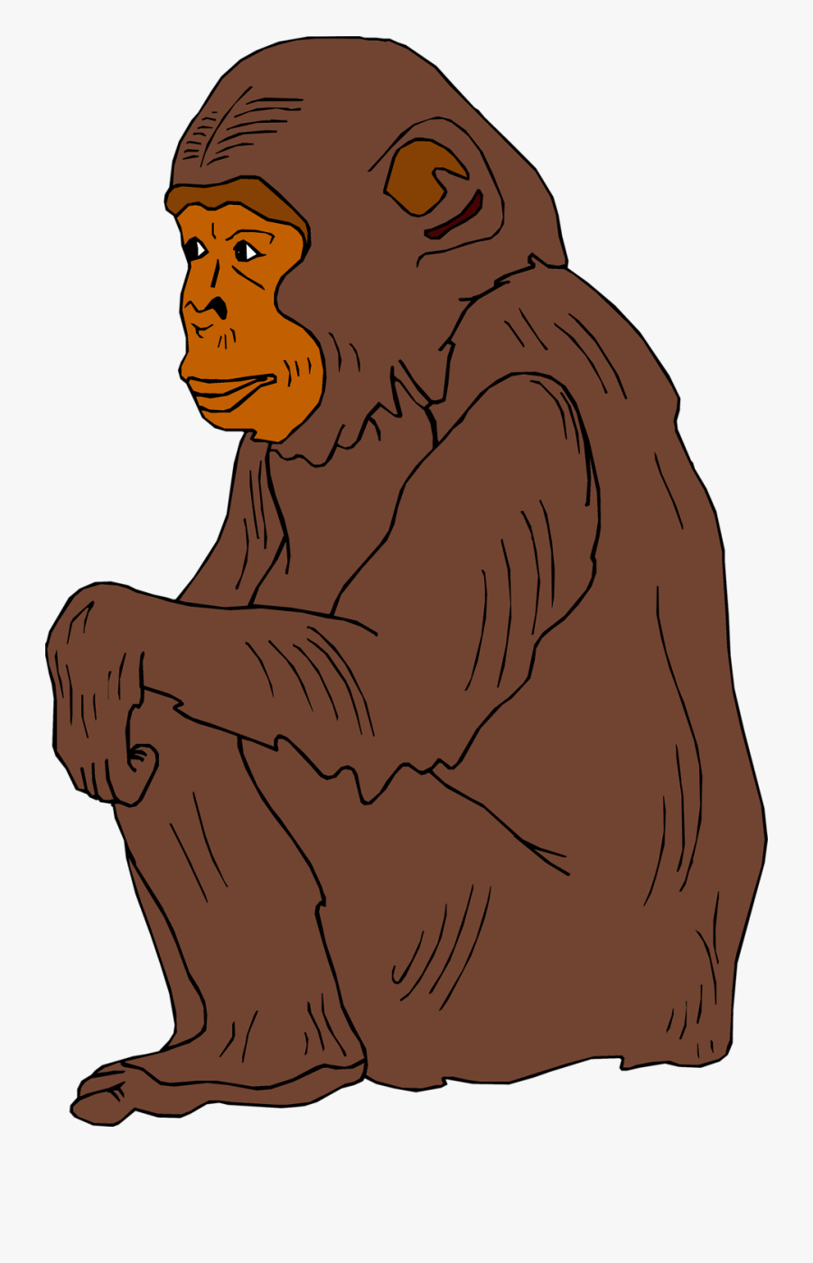 Transparent Orangutan Clipart - Transparent Chimpanzee Clipart, Transparent Clipart