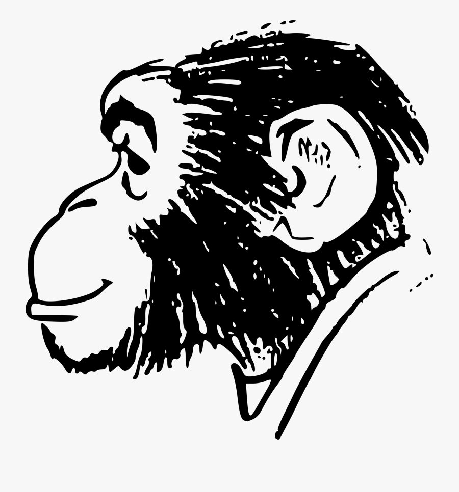 Monkey Head Drawing, Transparent Clipart