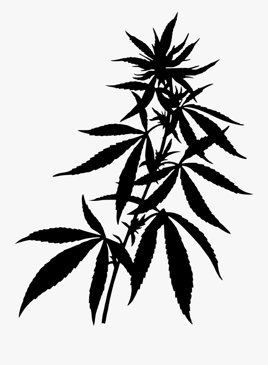 Transparent Weed Joint Clipart - Marijuana Plant , Free ...