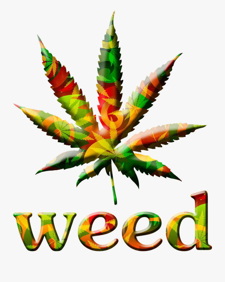 Cannabis Lingo High - Smoke Weed Everyday Png , Free Transparent