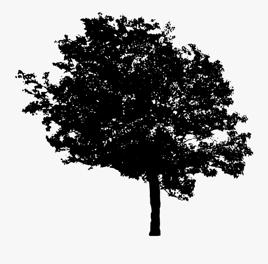 Tree Png Black And White - Trees Png Black, Transparent Clipart