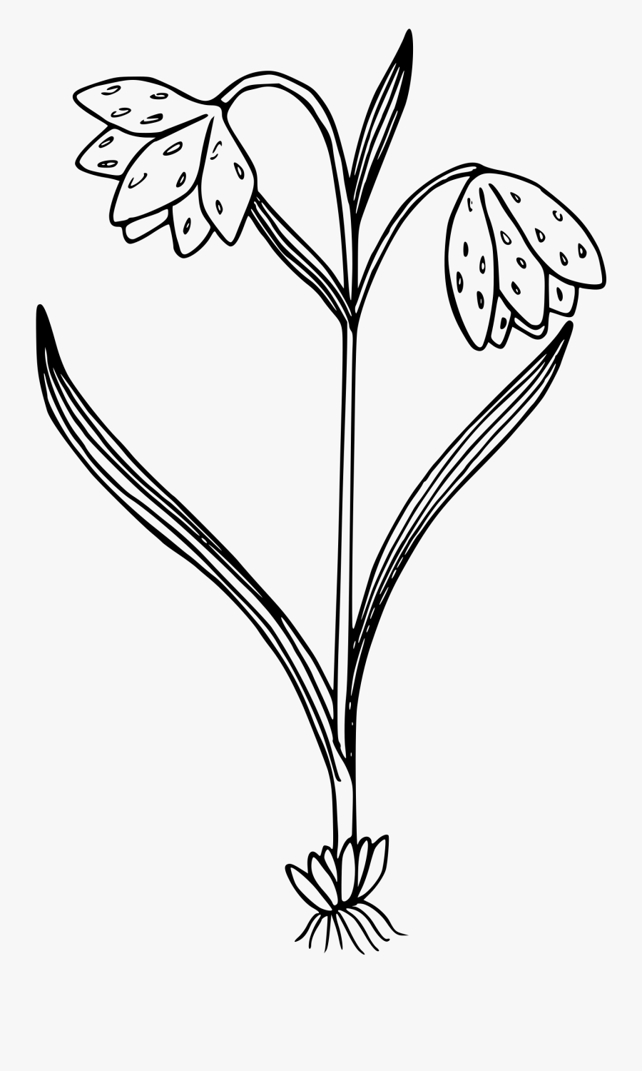 Wild Flowers Png Black And White, Transparent Clipart