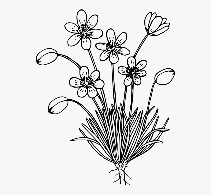 Free Free 82 Simple Wildflower Svg SVG PNG EPS DXF File