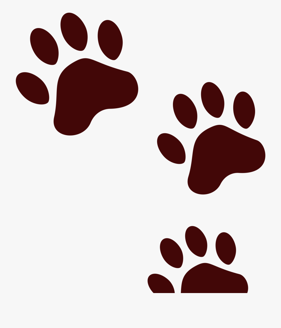 Bear Shop Of Library Buy Clip Art - Bear Foot Png, Transparent Clipart