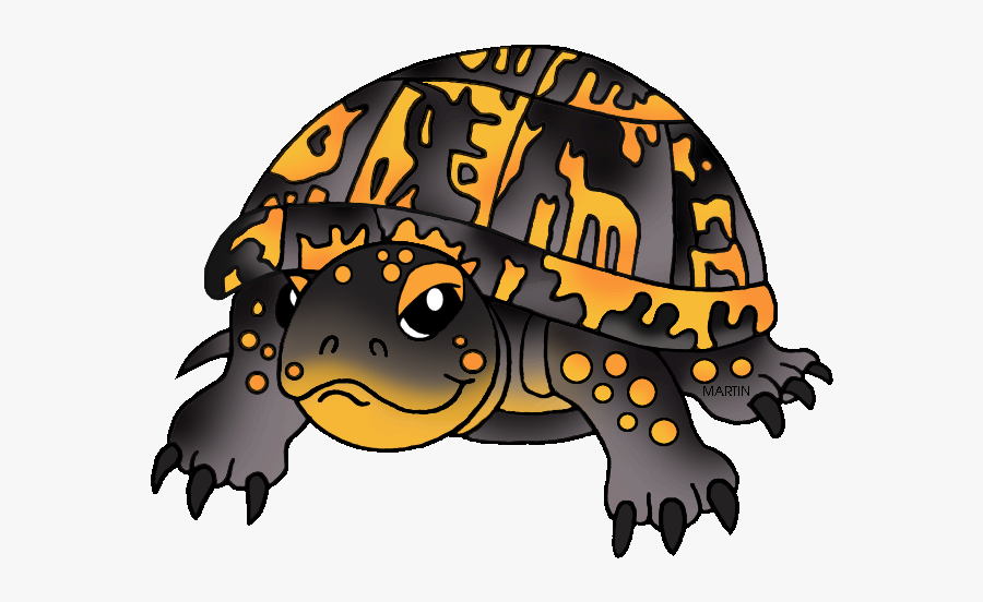 Tennessee State Reptile - Box Turtle Clip Art, Transparent Clipart