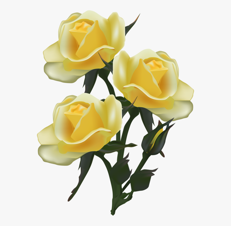 Transparent Yellow Rose Clipart - Clipart Dover Yellow Rose, Transparent Clipart