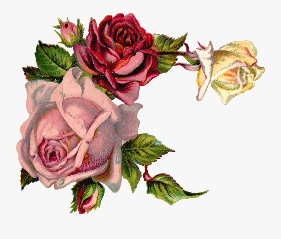 Clip Art Antique Images Digital Pink - Vintage Roses Corner Png , Free