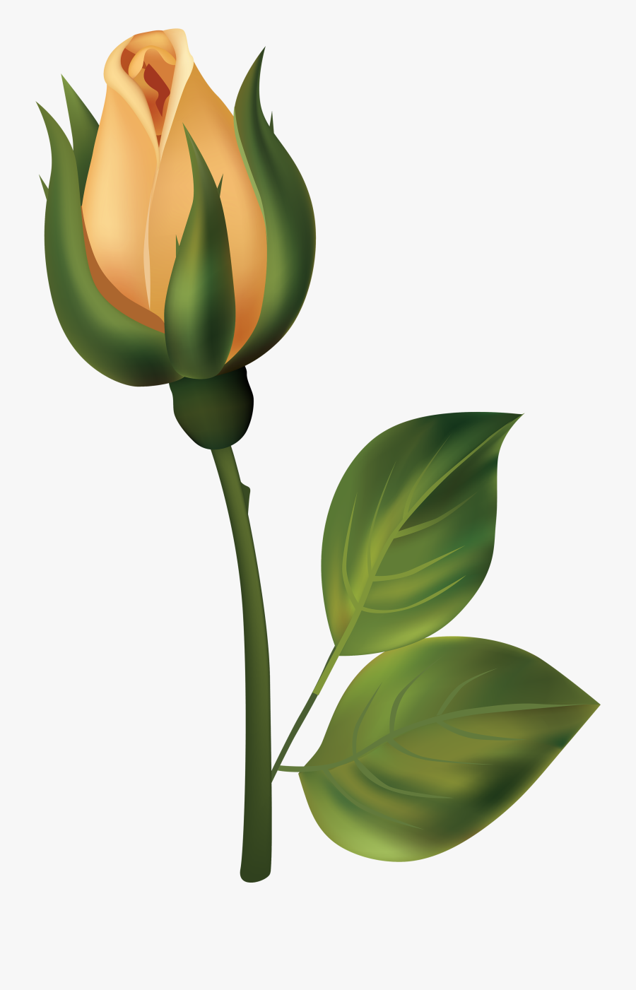 Yellow Rose Bud Png Clipart - Flower Bud Clip Art, Transparent Clipart