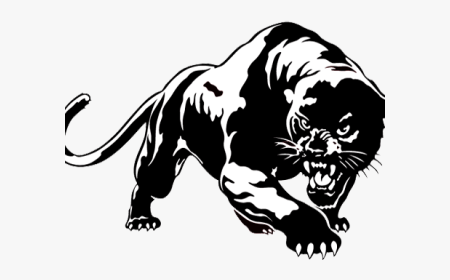 Black Panther Animal Drawing , Free Transparent Clipart - ClipartKey