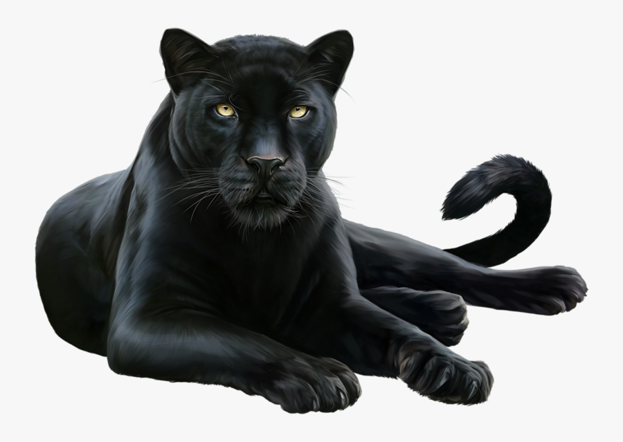 #blackpanther #jaguar #layingdown - Black Panther Animal Png, Transparent Clipart