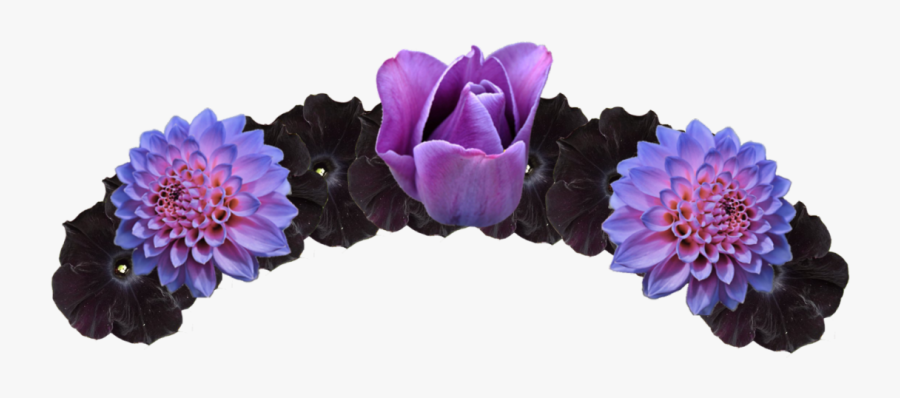 Crown Cliparts Transparent Purple - Black And Purple Flower Crown Png, Transparent Clipart