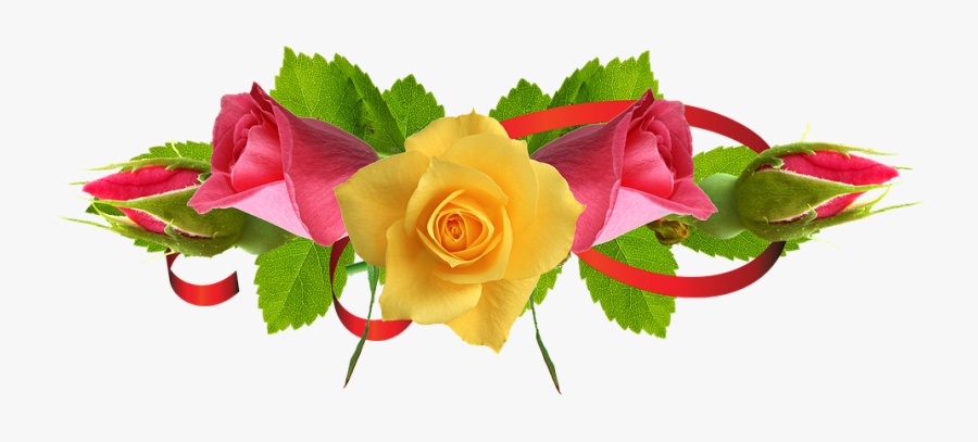 Flower Images Hd Rose Png, Transparent Clipart