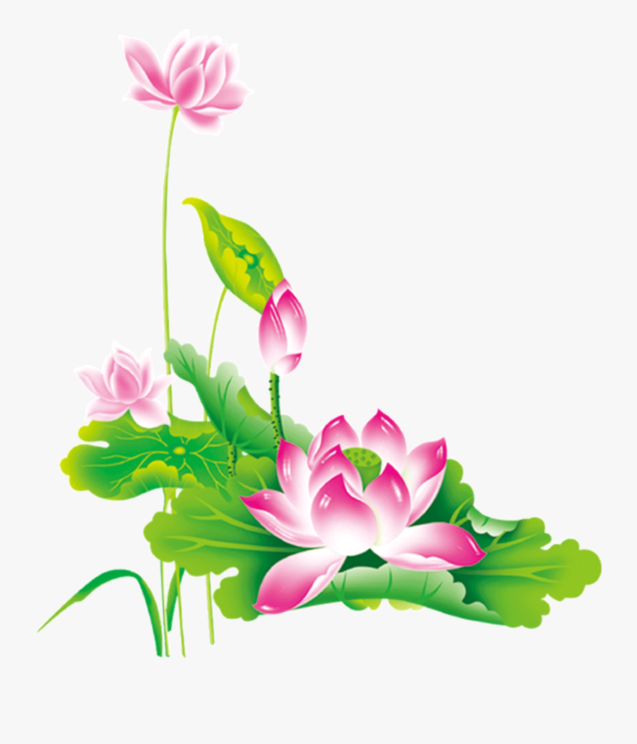 Chinese Flower Clipart - ดอกบัว Png , Free Transparent Clipart - ClipartKey