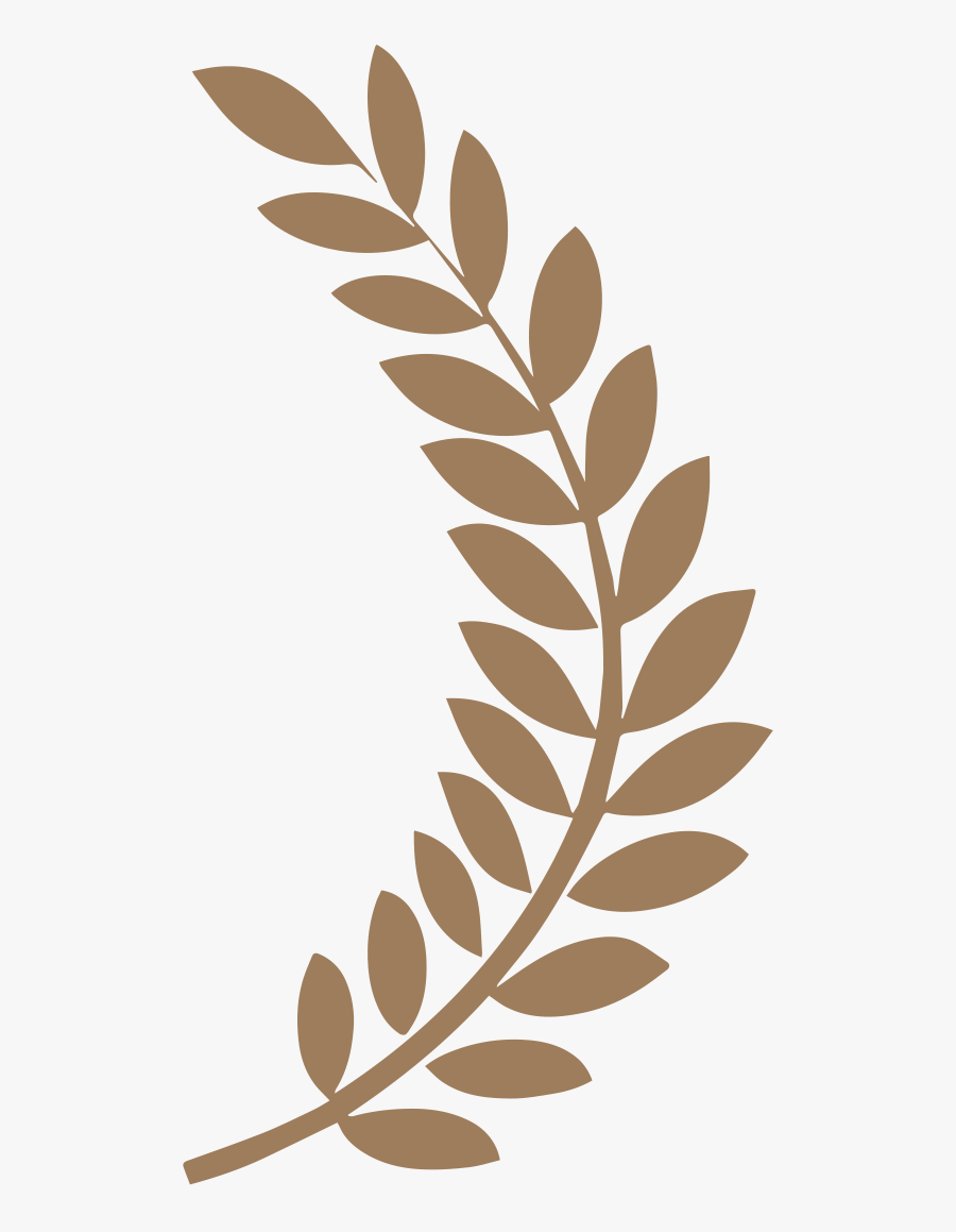 Fern Clipart Achievement Award - Accolade Global Film Competition Award Of Merit, Transparent Clipart