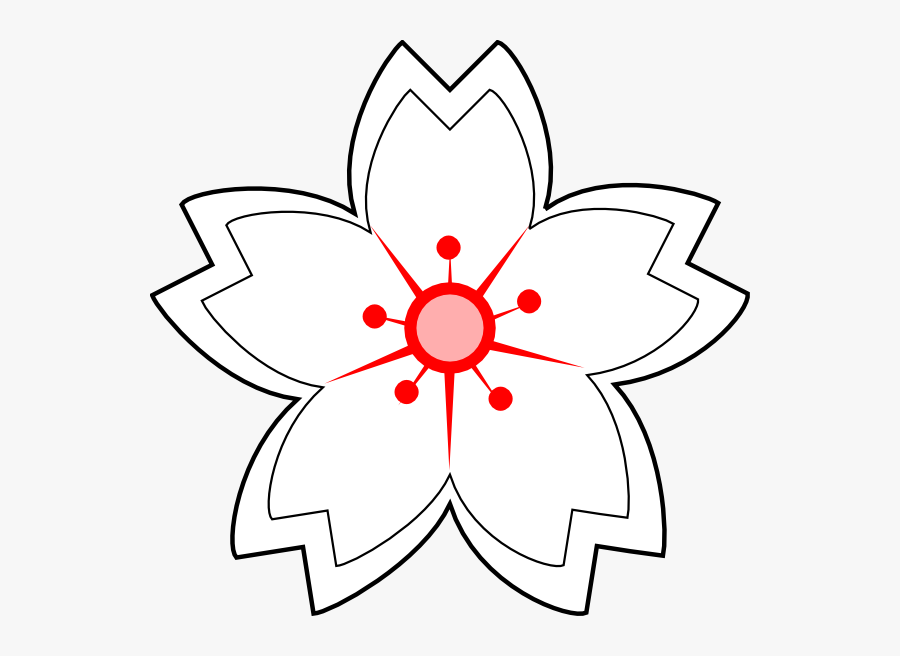 Transparent Flower Drawing Clipart - White Sakura Flower Sketch, Transparent Clipart