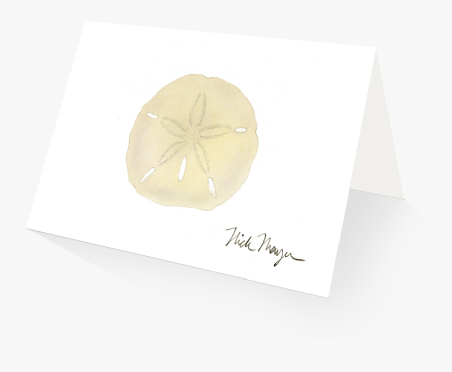 1024 X 825 2 - Sand Dollar, Transparent Clipart