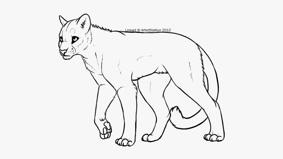 Clip Art Lion Art Cat Whiskers - Mountain Lion Art Oc, Transparent Clipart