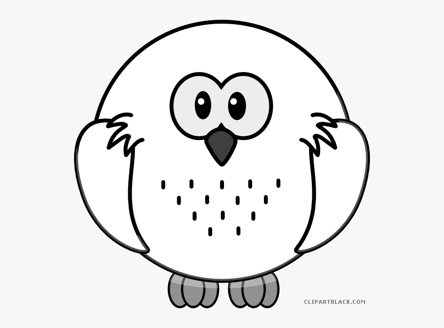 Snowy Owl Animal Free Black White Clipart Images Clipartblack - Colouring Images Of Owl, Transparent Clipart