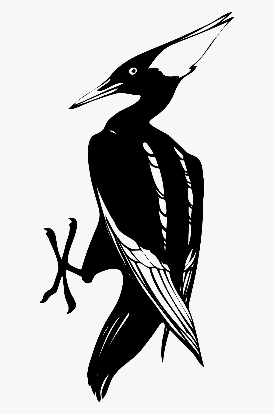 Clip Art Woodpecker Black And White, Transparent Clipart