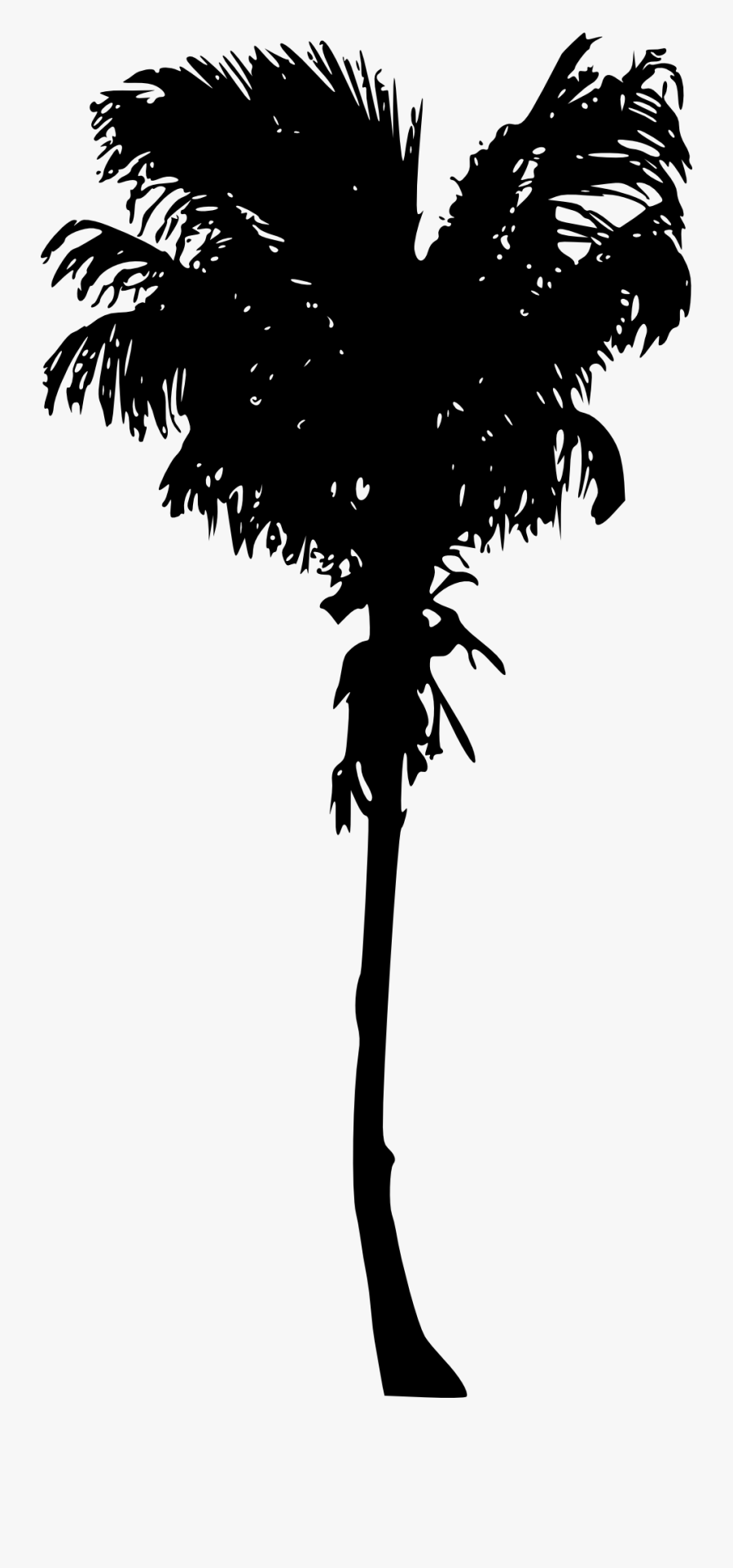 Transparent Palm Trees Clipart - Palm Trees, Transparent Clipart