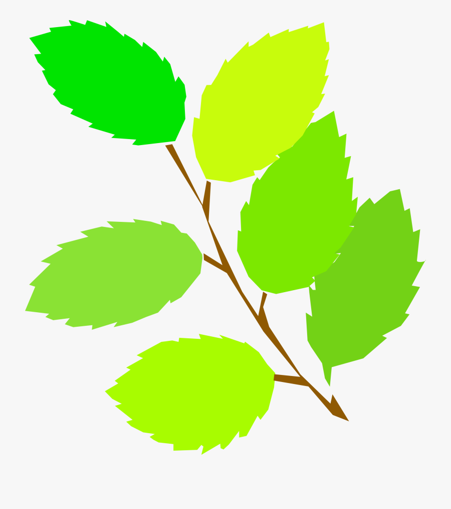 Leaves Leaf Clip Art Free Vector In Open Office Drawing - Spring Clip Art, Transparent Clipart