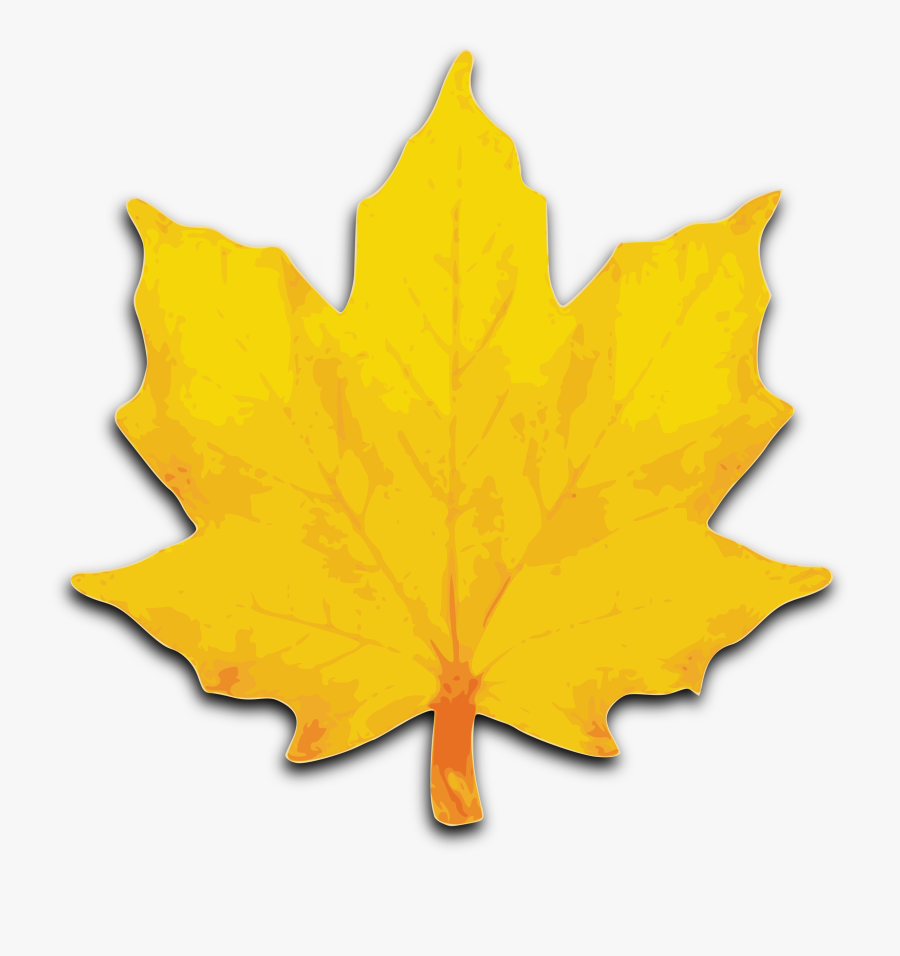 Leaf Fall Leaves Clipart Free Clipart Images - Maple Tree Leaves Clip Art, Transparent Clipart