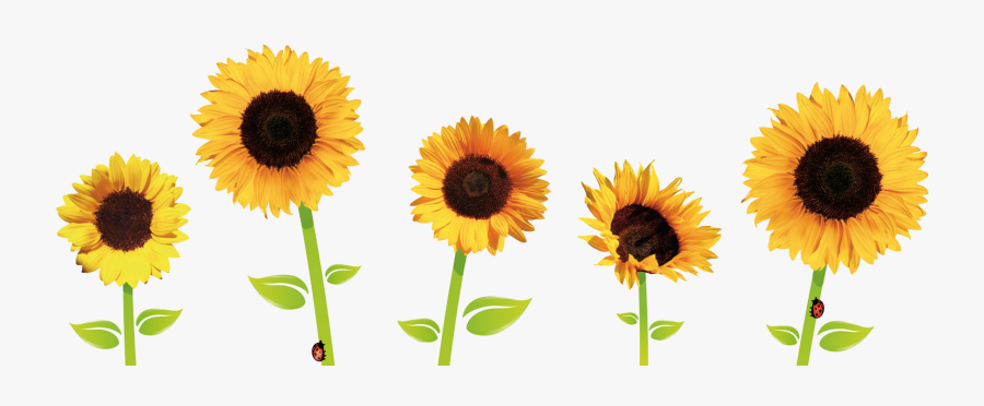 Sunflower Clipart Transparent Pencil And In Color Clipart - Good Morning Sunny Day, Transparent Clipart
