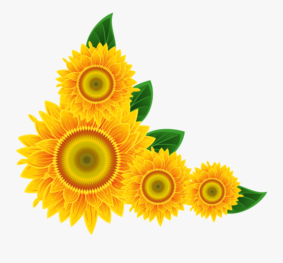 Sunflower Corner Decoration Png Clipart Image - Sunflower Corner Border Clipart, Transparent Clipart