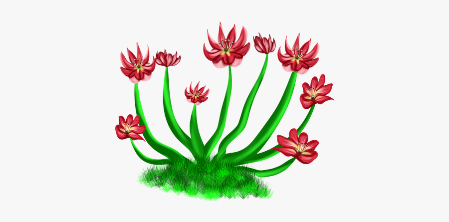 Flowers Red, Red Flower, Nature, Bushes, River, Levee - Floral Design, Transparent Clipart
