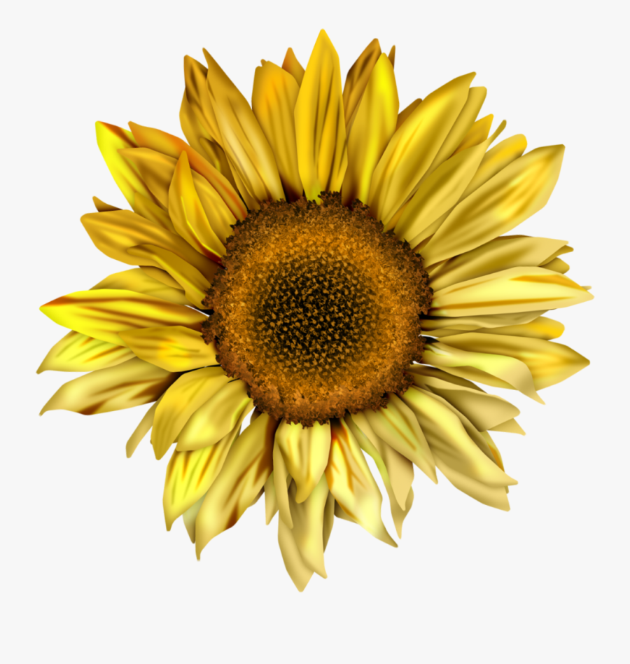 Clipart Royalty Free Sunflowers Clipart Swag - You Are My Sunshine Sunflower Png, Transparent Clipart
