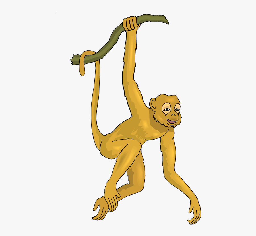 Free Monkey Clipart - Realistic Monkey Clipart, Transparent Clipart