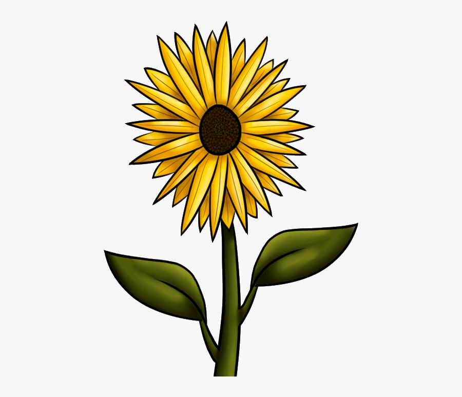 Gallery For Country Sunflower Clipart - Dibujos Png Girasoles , Free ...