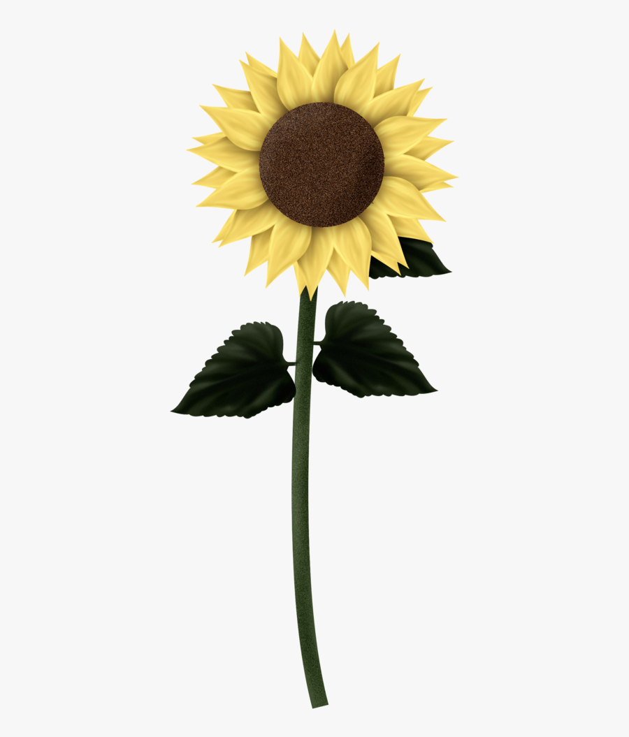 Sunflowers Png Clipart - Sunflowers Png, Transparent Clipart
