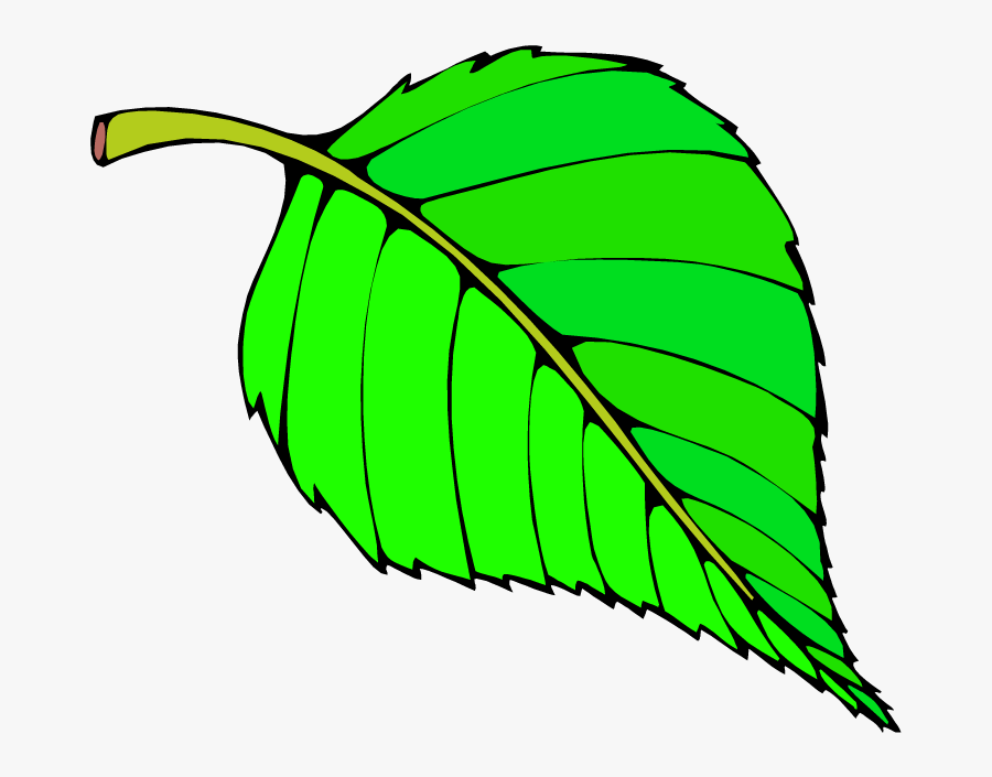 Free Big Leaves Cliparts - Hungry Caterpillar Green Leaf, Transparent Clipart