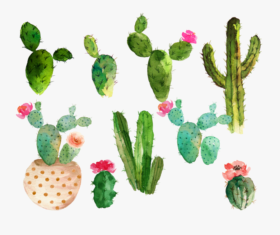 Clip Art Flowering Cactus - Free Watercolor Cactus Clipart , Free