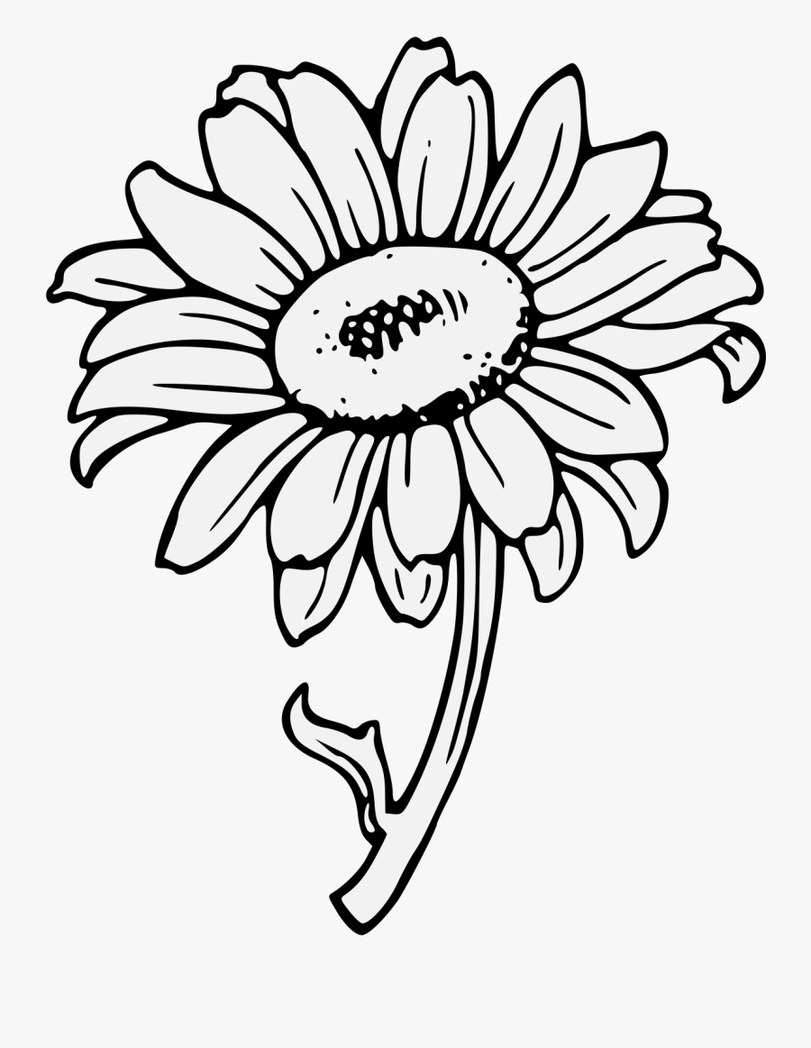 Sunflower Clipart Transparent Background , Png Download - Clip Art Of Yellow Sunflower, Transparent Clipart