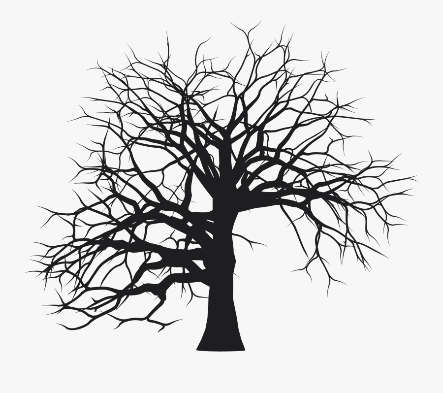 Leafless Tree Silhouette - Big Tree Silhouette Png, Transparent Clipart