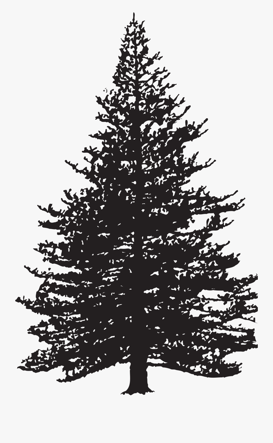 Small Pointy Pine Tree Clip Art At Clker - Black And White Pine Tree, Transparent Clipart