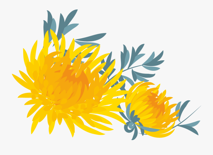 Free Online Flowers Plants Leaves Oxygen Vector For - Sunflower, Transparent Clipart