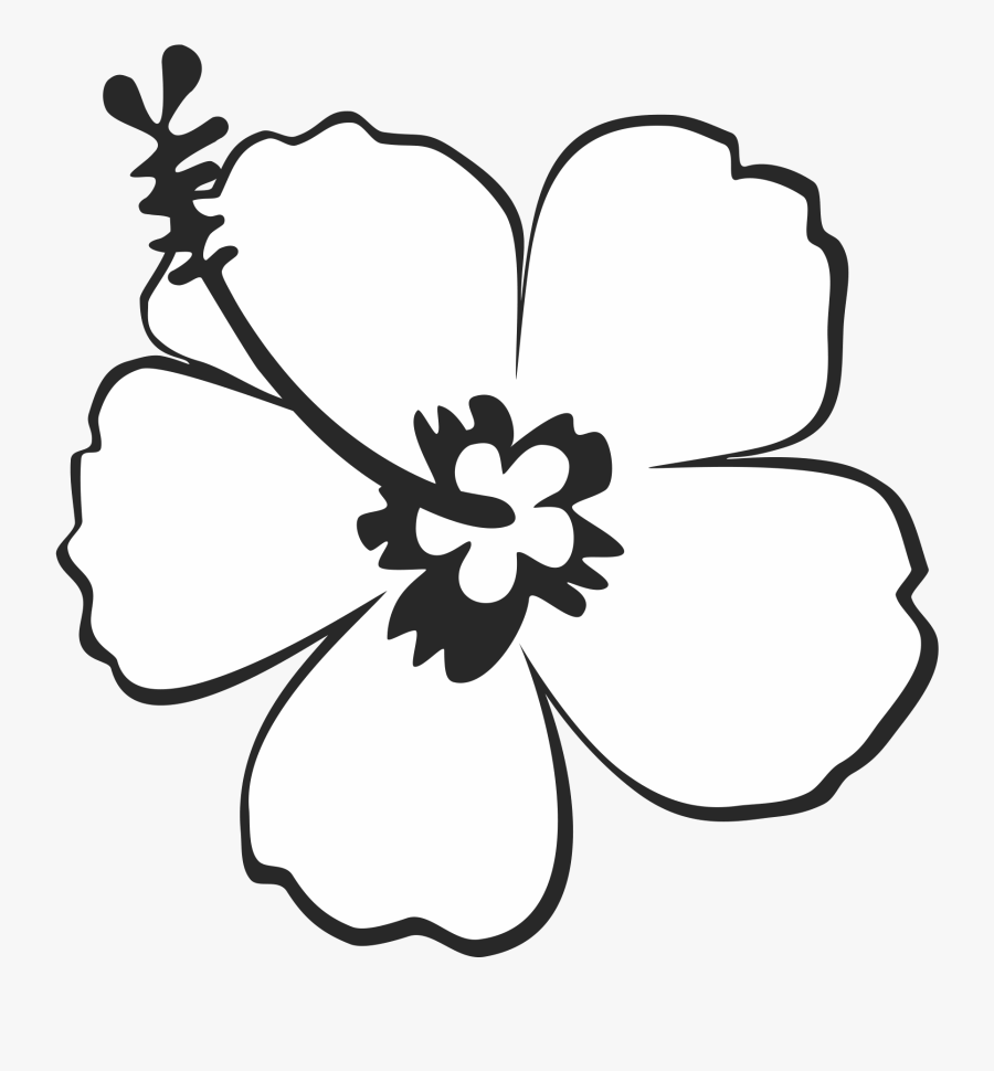 Sunflower Clipart Black And White - Hibiscus Black And White, Transparent Clipart
