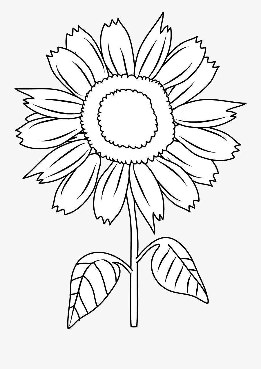 Sunflower Clipart Leaf - Sunflower Vector Png Black And White, Transparent Clipart