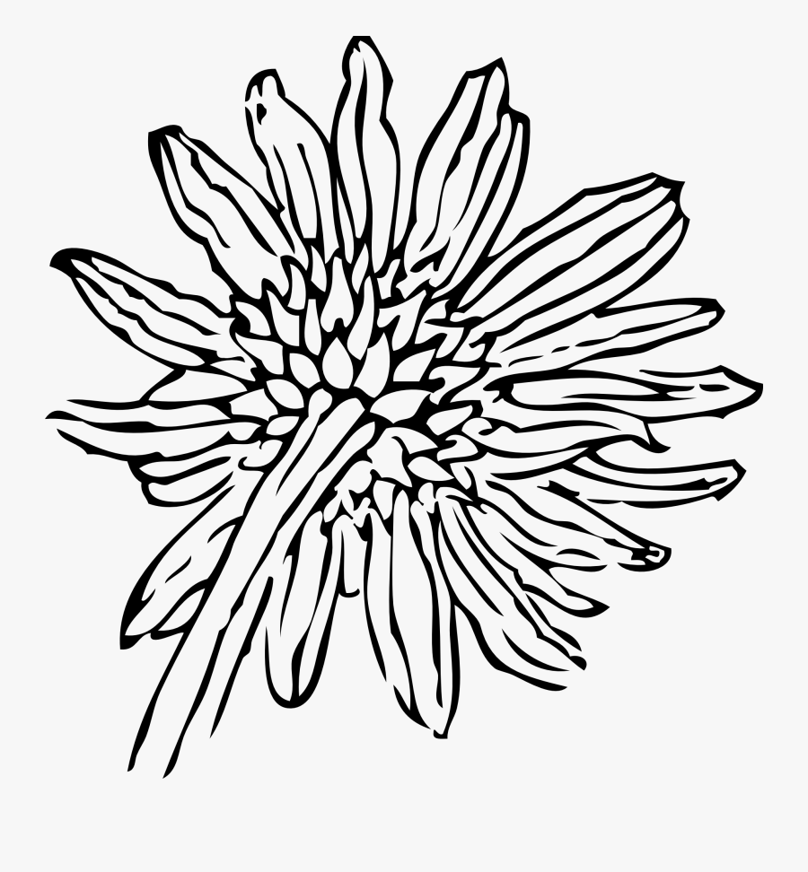 Sunflower Black And White Sunflowers Clipart Black - Sunflower Clip Art, Transparent Clipart
