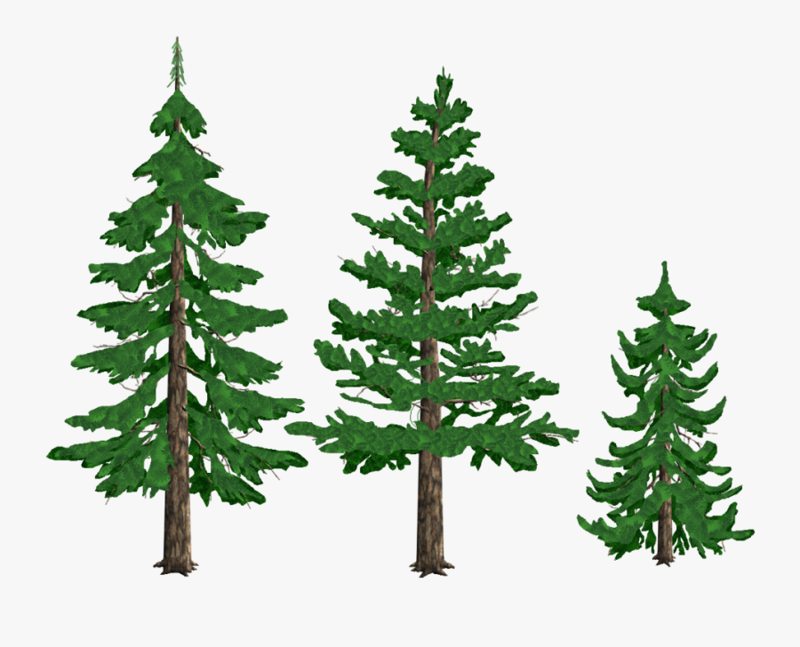 Transparent Background Pine Tree Clipart , Png Download - Transparent Pine Tree Clipart, Transparent Clipart
