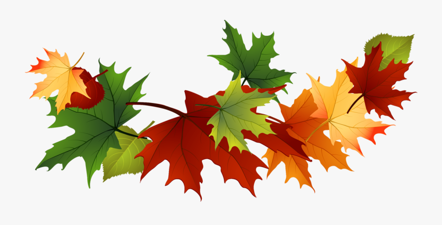 Fall Leaves Free Clip Art - Fall Leaves Transparent Background, Transparent Clipart