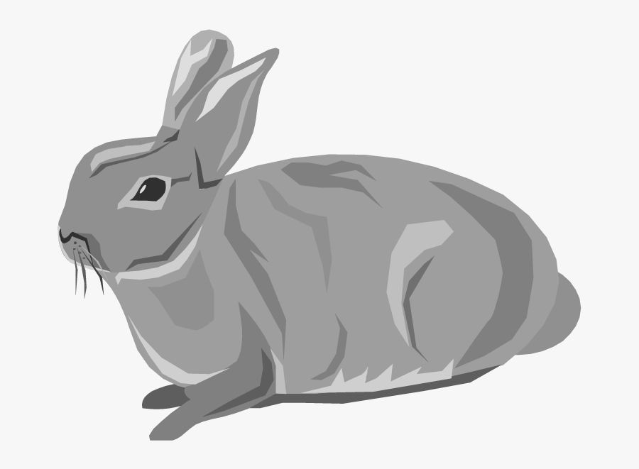 Rabbit Clipart Rabbit Animals Clip Art Downloadclipart - Flash Card For Rabbit, Transparent Clipart