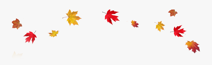 Autumn Leaf Color Clip Art - Transparent Fall Clip Art, Transparent Clipart
