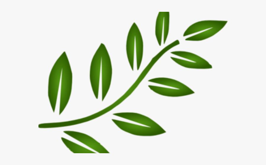 transparent dove with olive branch png leaves clipart free transparent clipart clipartkey olive branch png leaves clipart